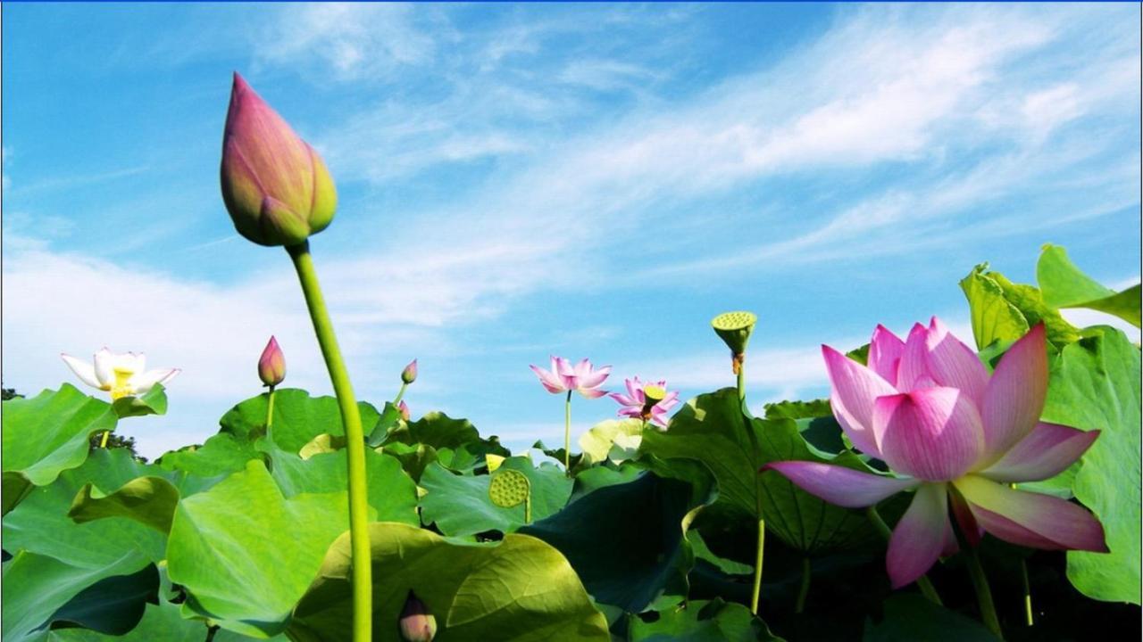 Trang An Retreat Villa Ninh Binh Dış mekan fotoğraf