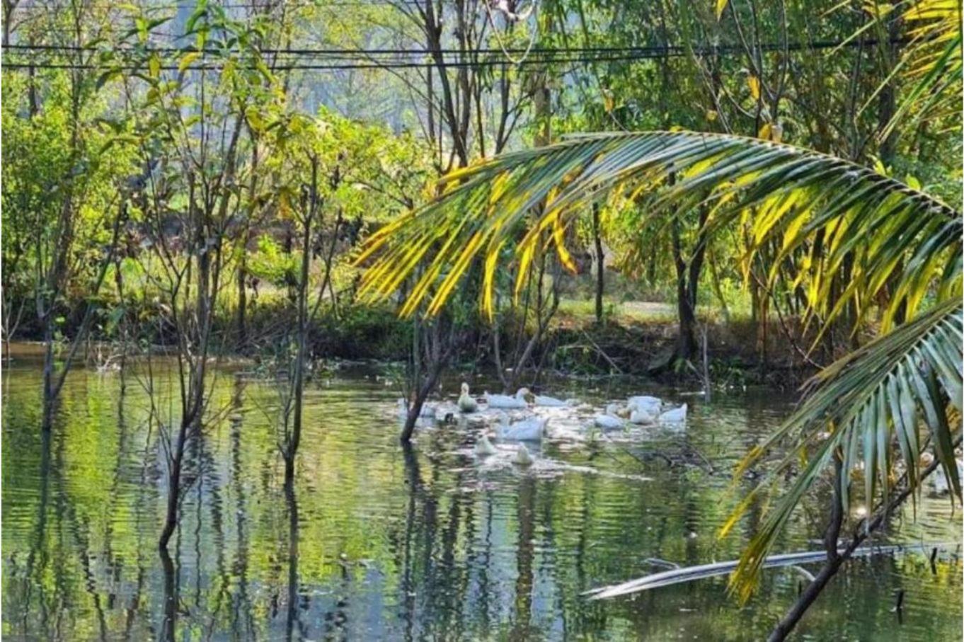 Trang An Retreat Villa Ninh Binh Dış mekan fotoğraf